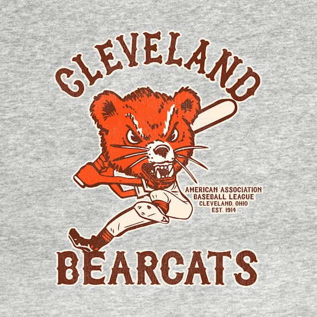 Defunct Cleveland Bearcats Baseball Team by Defunctland